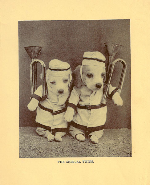 the-musical-twins